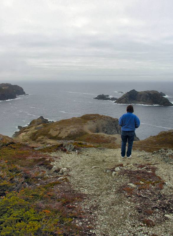 AroundNL-27 View across Iceberg Alley from Crow Head in Twillingate