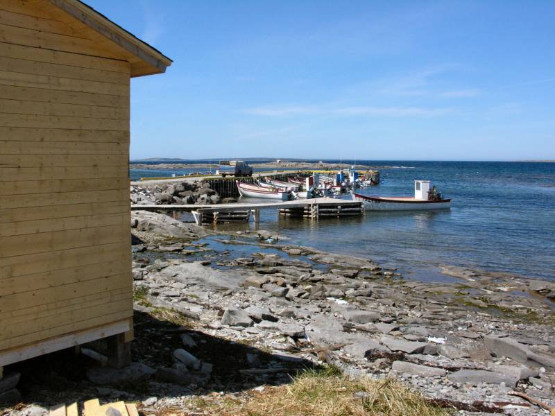 AroundNL-33 Harbors are scarce on the west coast of the Northern Penninsula, some no more than haulouts. This one has a pier and a natural breakwater.