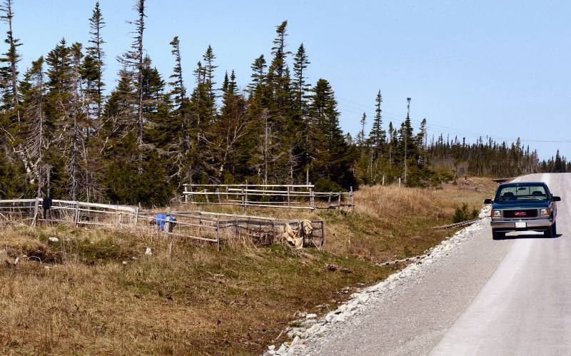 AroundNL-42 Highway Gardens line the roads of the Norhtern Penninsula