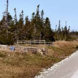 AroundNL-42 Highway Gardens line the roads of the Norhtern Penninsula