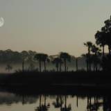 ec (12) Georgia Marsh