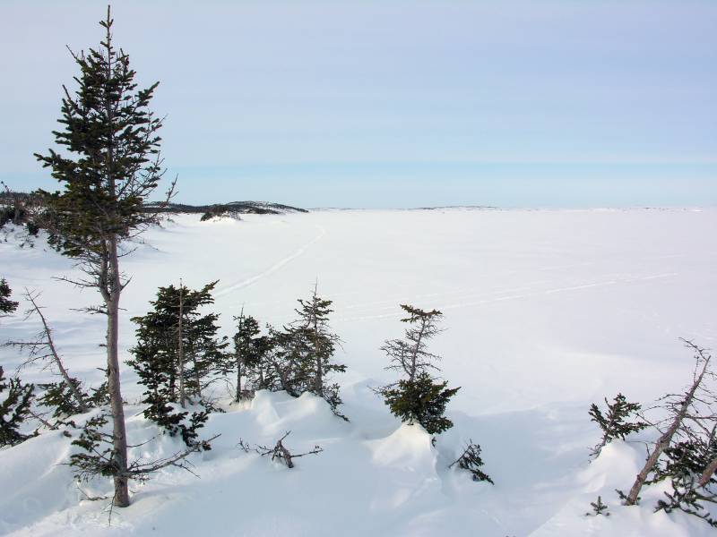 FrozenPond Looking across a frozen pond