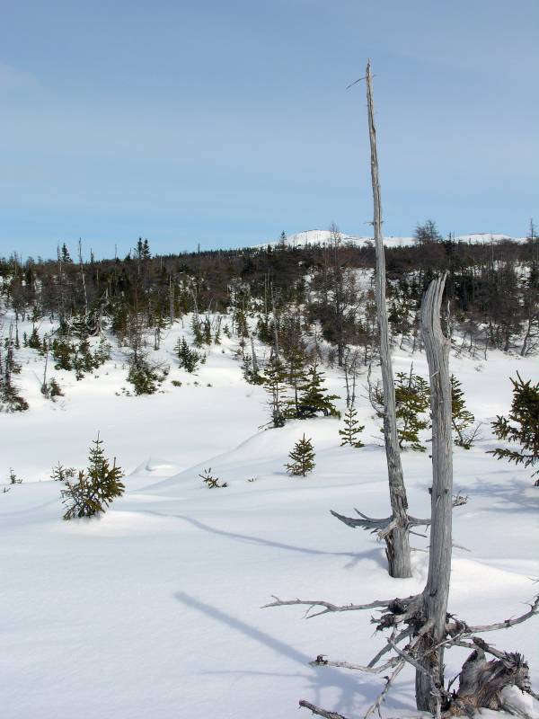 Toward-Joes-Lookout Looking from the camp to Joe's Lookout