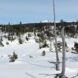 Toward-Joes-Lookout Looking from the camp to Joe's Lookout