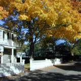 mysa2 Fall foliage in front of the Membership Building.