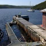 Roti_Bay_Fish_Farm Temporarily moored off a fish farm dock while Carolyn picks berries.  Farms can only work a site for three years then must go elsewhere til the area recovers.