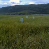 f4 Some very lonely gravestones up a fjord in Newfoundland.